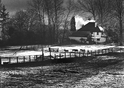 Chiltern winter